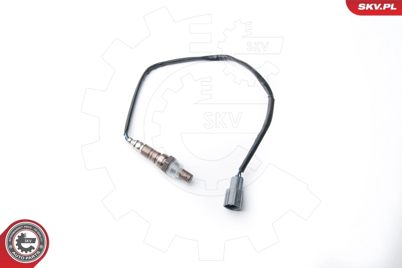 Oxygen Sensor